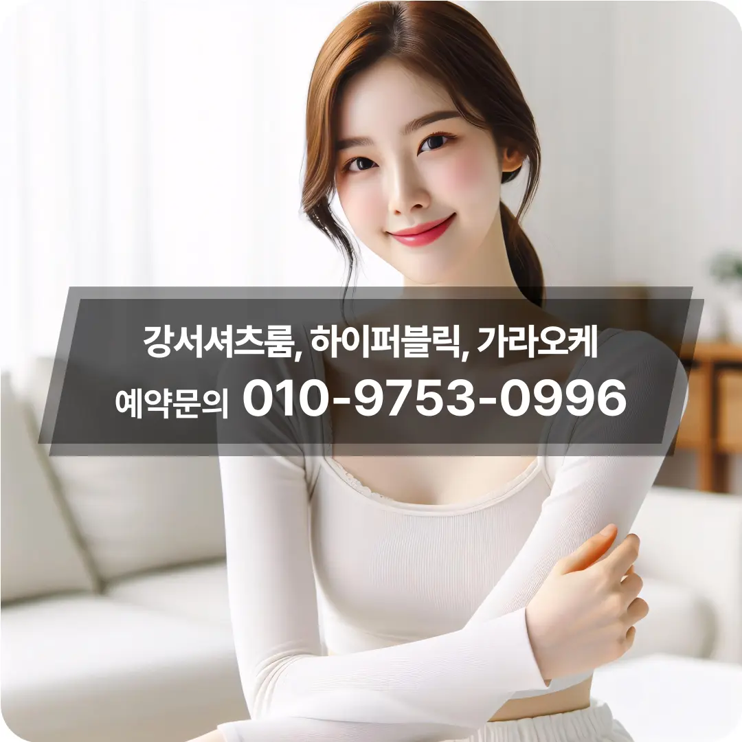 강서구발산동가라오케