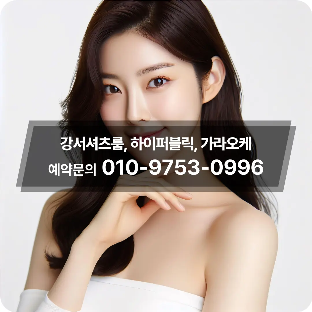 강서마곡노래주점