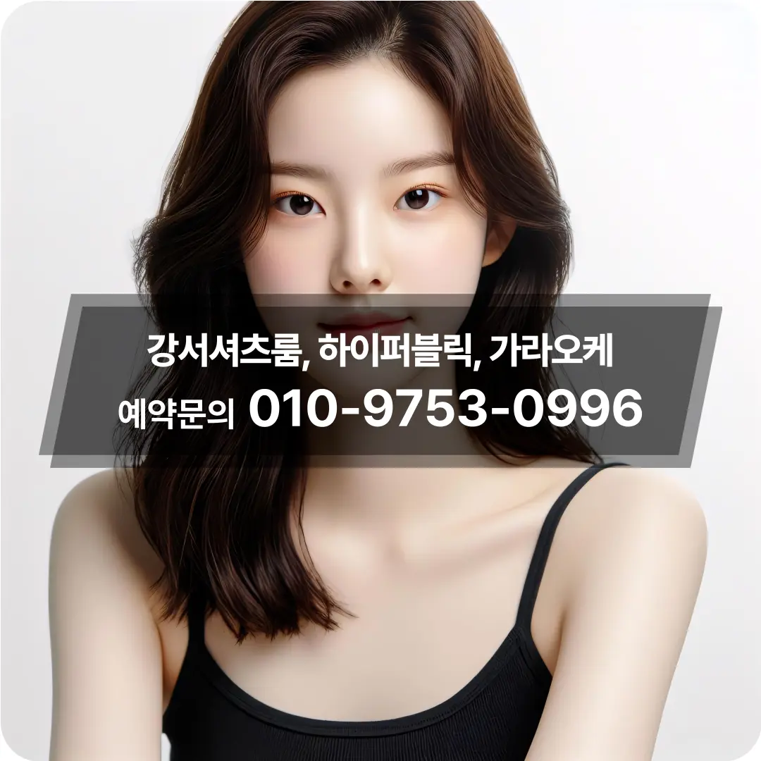 강서구마곡노래방