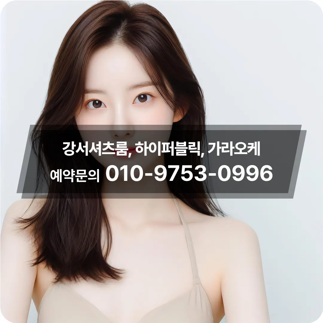 강서구마곡셔츠룸보도
